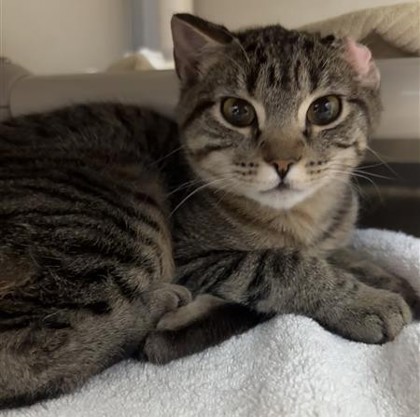 Photo of Zuzu