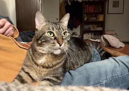 Photo of Lucy