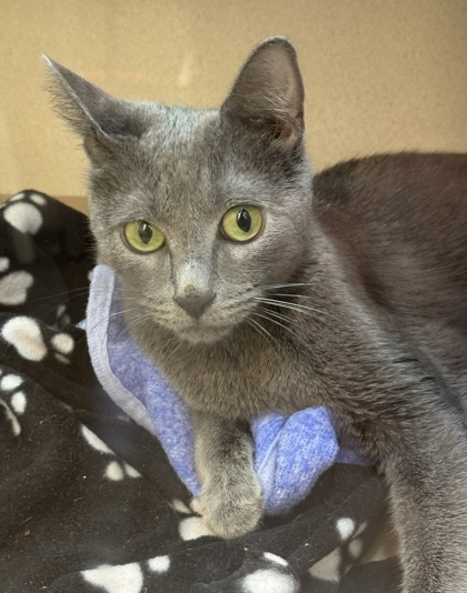 Photo of Cleo