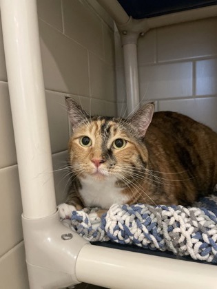 Photo of Twix