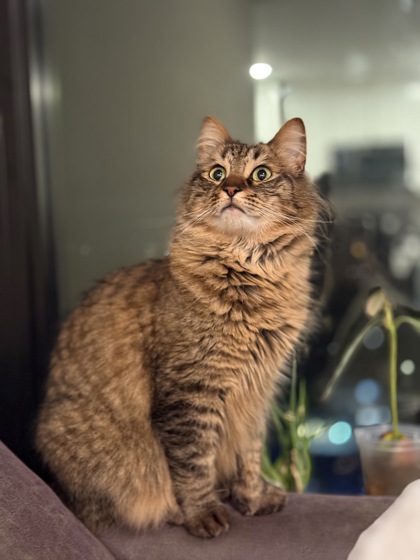 Photo of Bug