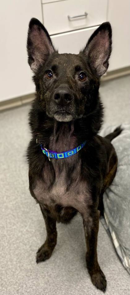 Zeus photo