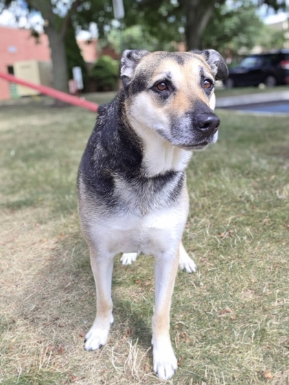 Mabel photo