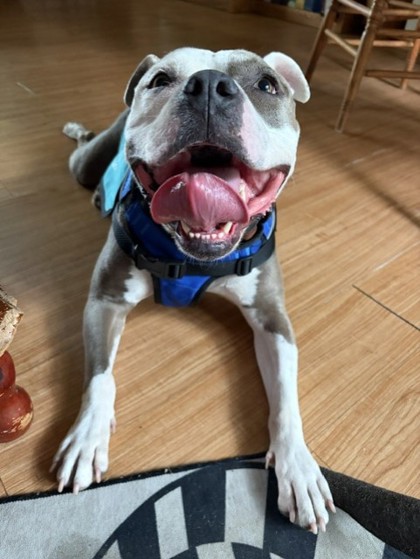 Karma photo