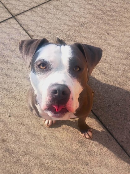 Nyla photo