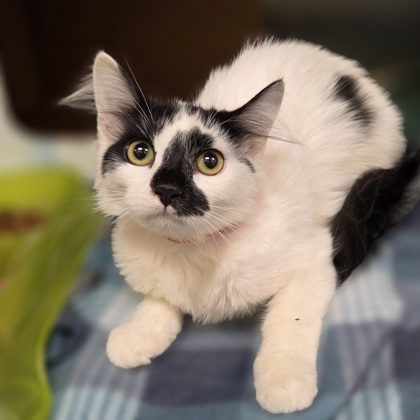 Lenora photo