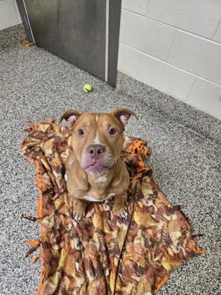 Zeus photo 2