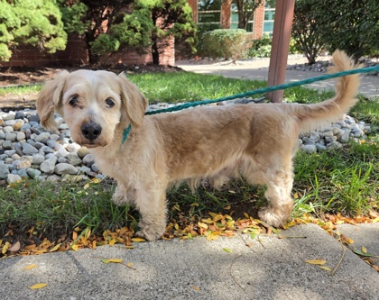 Tucker photo