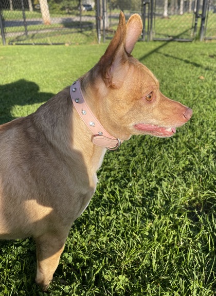 Bella photo 2