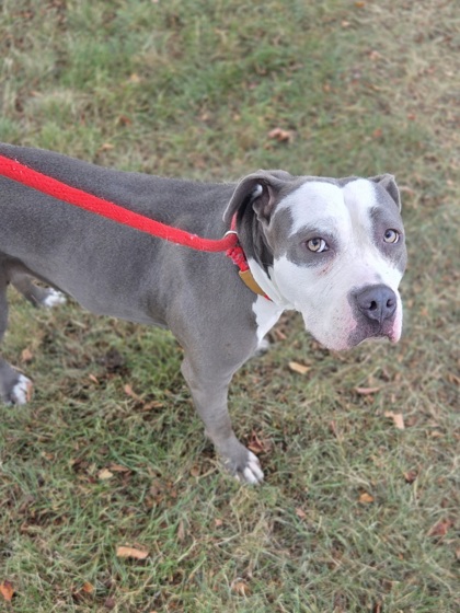 Nyla photo 2