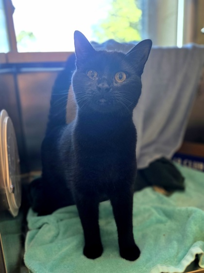 Charm photo
