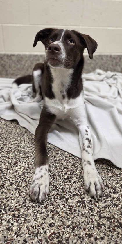 Remy photo 2