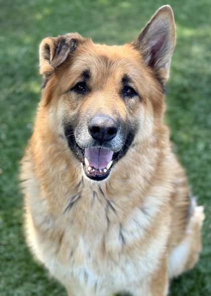 Beau photo