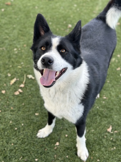 Wilma photo