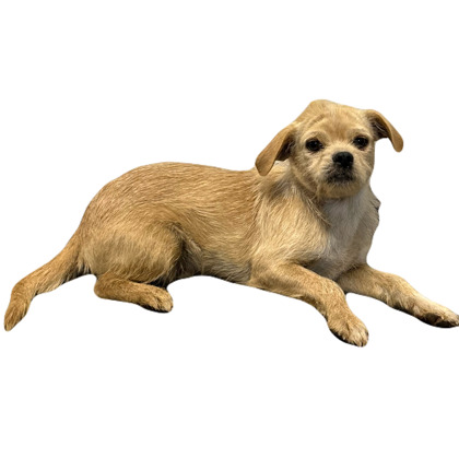 Ted photo