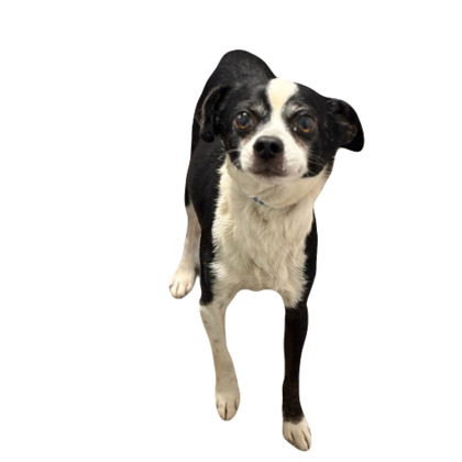 Wally photo