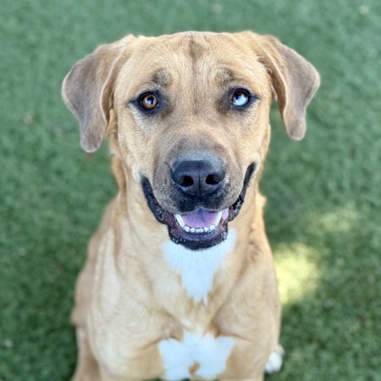 Baylee photo