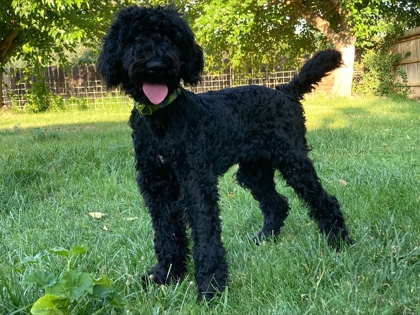 Lionel photo