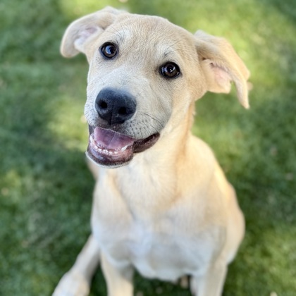 Gunther photo