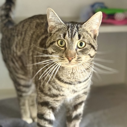 Clyde photo