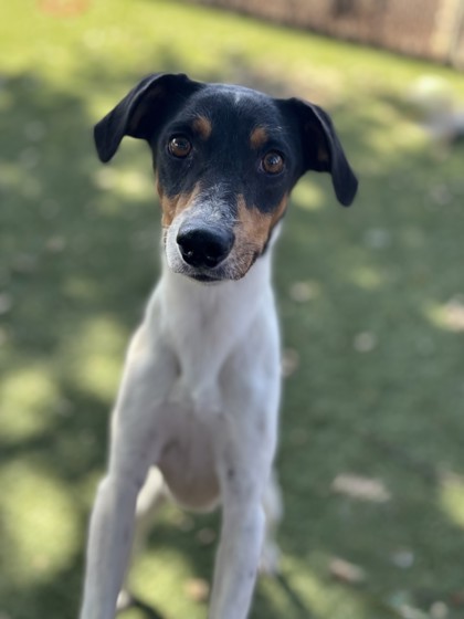 Burt photo