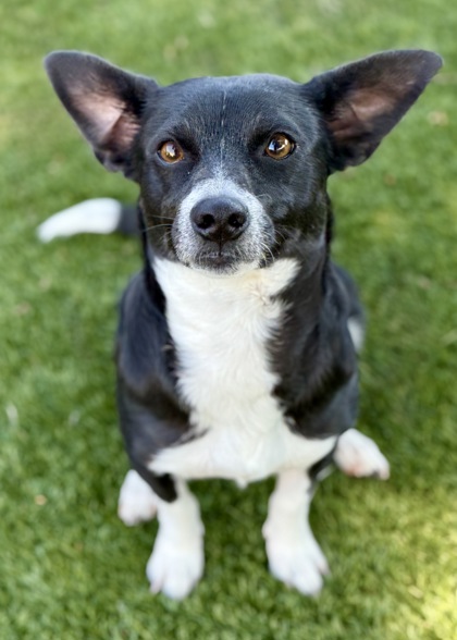 Maeve photo
