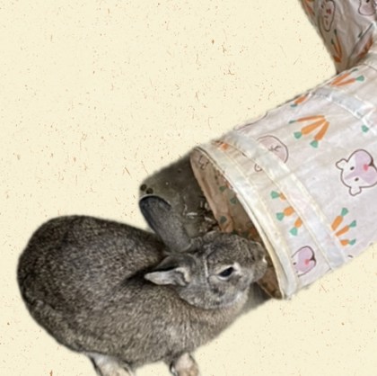 012eb238 70d6 4889 8735 18e886abe52c