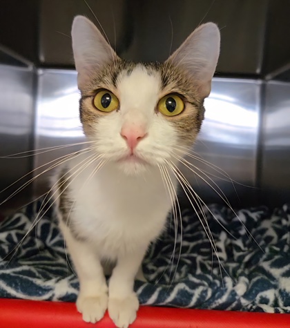 0a41063e 9b2a 481e a0af 6ea1185bc559