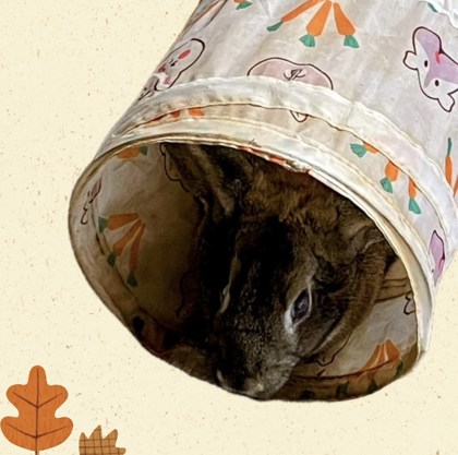 0b9856b0 d8cb 4fd3 b4db cf78a375c02d