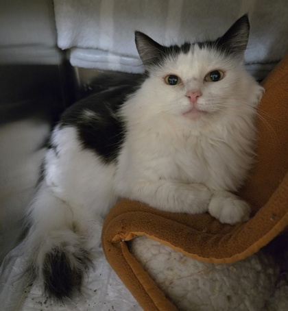 0edf387a 1c6c 414c b9ef 76e86d5e6819