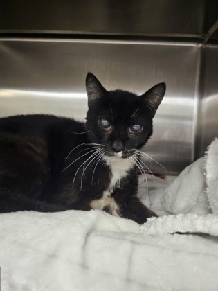 14cc31d1 cc37 4597 bc2d 0d409ea18d8c