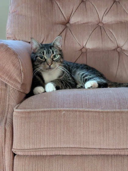 14dba6e3 d634 4339 a7a5 7c68c9c9eba4