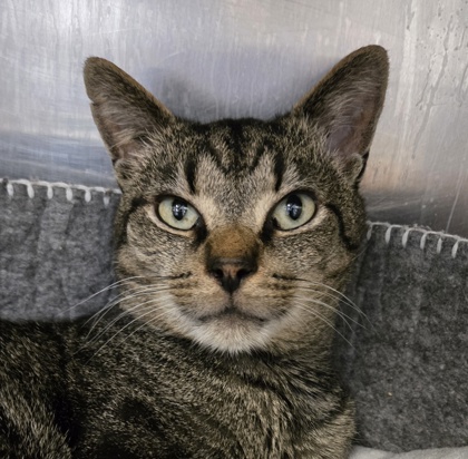 17d4a258 725f 40d6 baf2 6f251dff05de