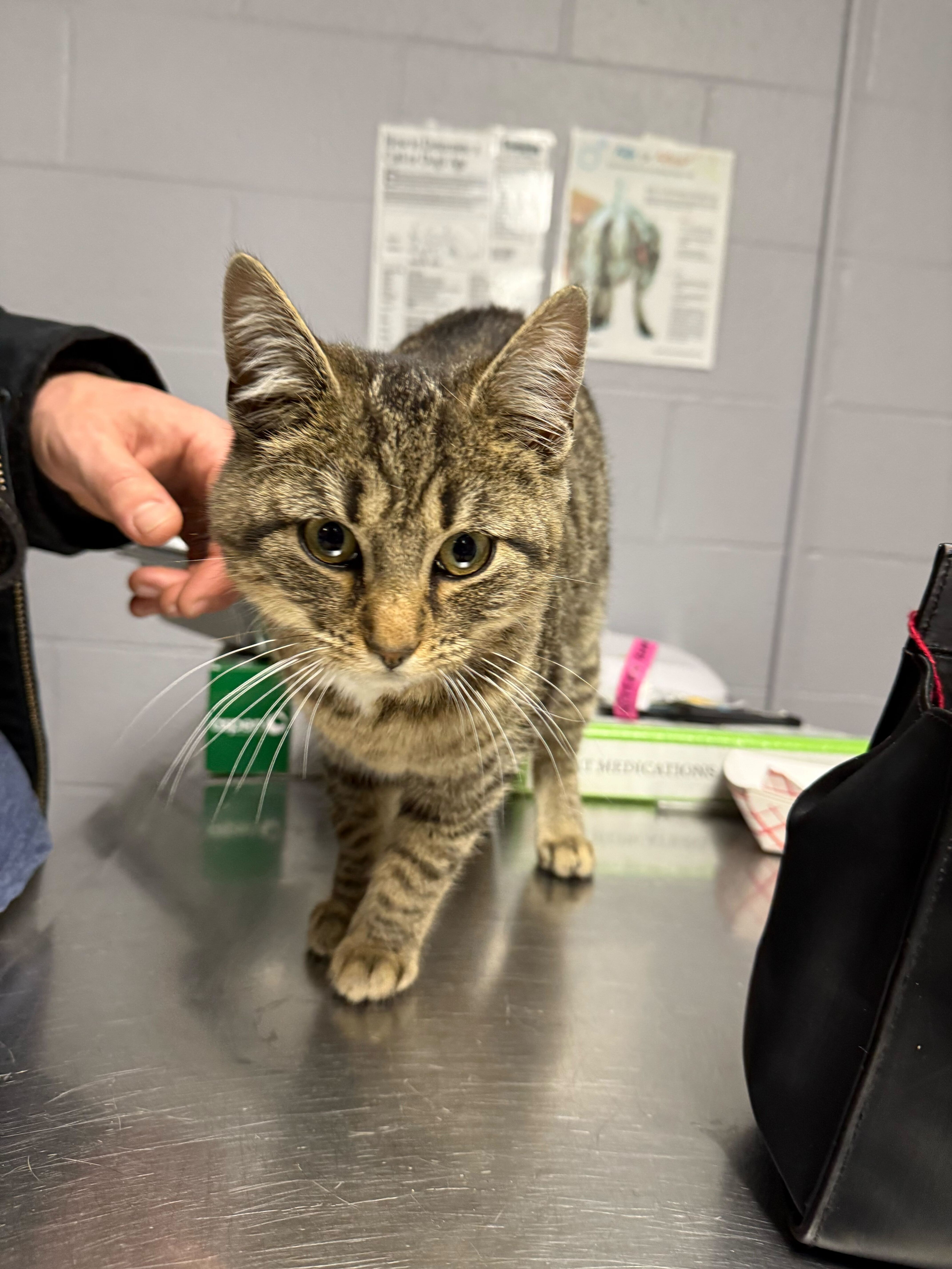 188bb847 0640 4084 ac3d 125c8d032c27