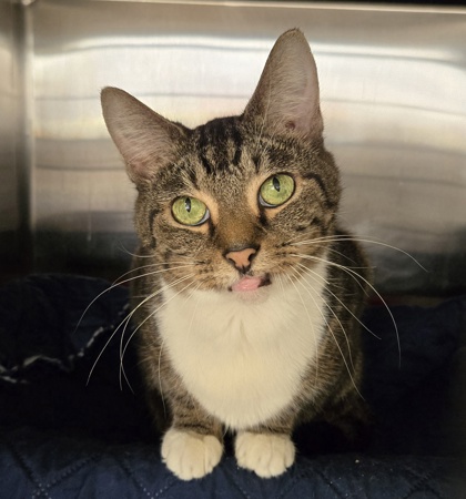 19402e04 ad86 4428 9b1e da317e40bb65