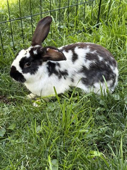 255e3764 d3dc 4ca2 bf1e a770ed06e7ea