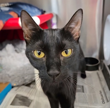 3b7fd407 a1e4 45ce 92ce a034a0692721