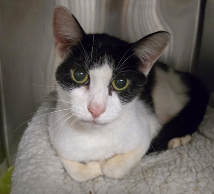 3f7d8a1d 0e47 426c bc07 a1a2937add67