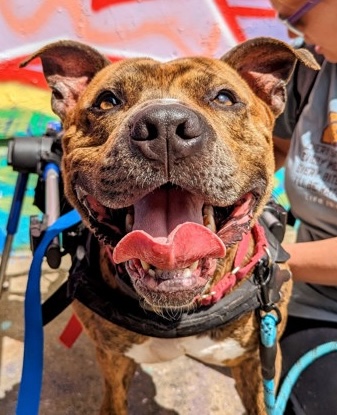 5213ca03 c03b 4e80 86e3 81ac66938789