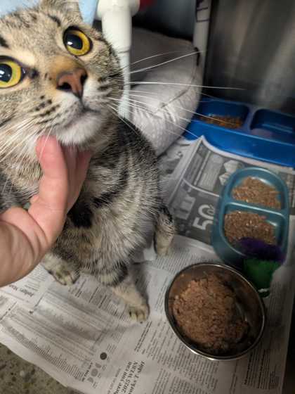 54293481 3e63 436d a651 b7ec09171398