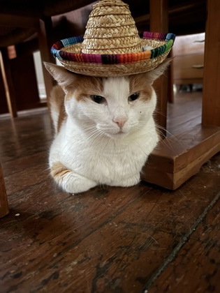 59eb84c9 ffe6 474e b3fb 05a0c9169568