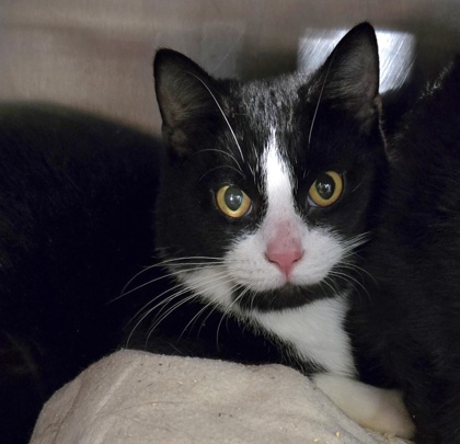 6438c787 c3ed 4679 88e6 d646512ceefa