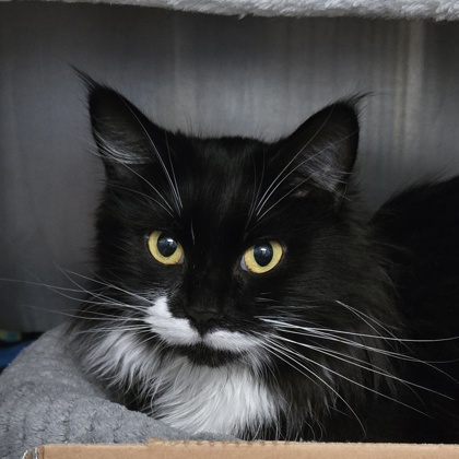 64d69c5d e315 4ed5 bffb 04ea62a28620