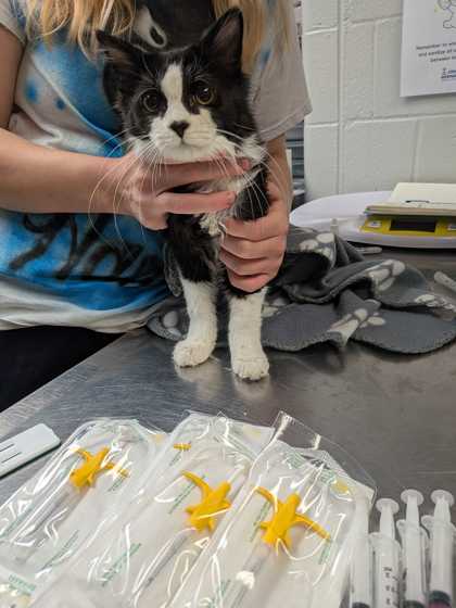 66429141 4d3a 427b bc89 a6a4edfcc6af