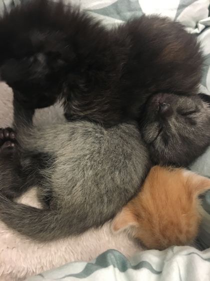 6b04c24d b58b 468d 9f20 6fccdec3f26f