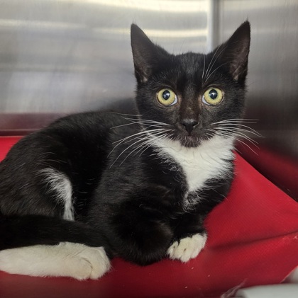 73693632 ccd6 4b64 988d c8eebb9fc547