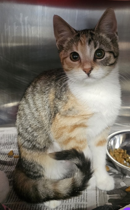 7815dd3a 2b9f 4a12 89a8 9a6997880516