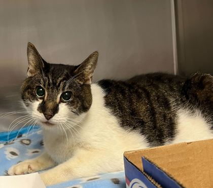 7ffb6239 3a1f 46d7 8ef0 0af2f9a4945f