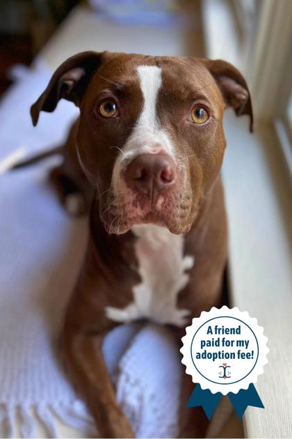 82de1931 ada9 425f b837 4f9cf89def41