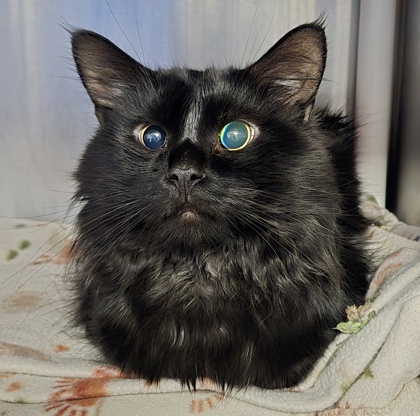 8c4d26de e87a 4be6 8171 8dea5c29da71